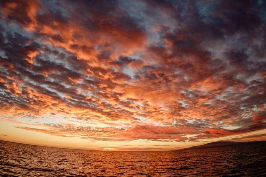 Maui: Luxury Catamaran Alii Kai Royal Sunset Dinner Cruise - Who will enjoy this cruise most
