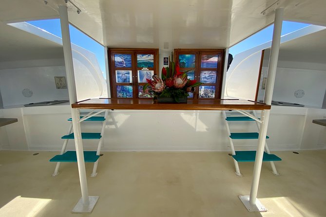 Maui Premium Sunset Dinner Cruise from Ka’anapali Beach - Whale Watching From December 15 Through April 15