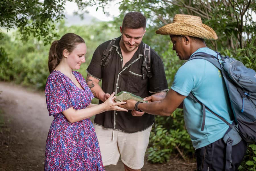 Mauritius: Exclusive Le Morne Sunset Hike & Aperitivo - What the local guide adds