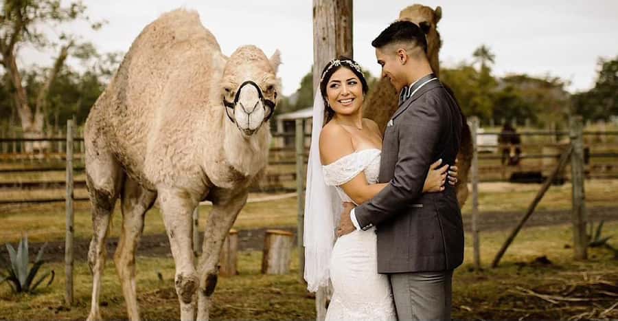 Moroccan Luxury Wedding Ritual: Full romantic experience - A wedding ritual built around symbols