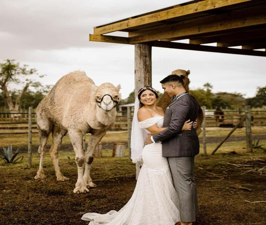 Moroccan Luxury Wedding Ritual: Full romantic experience - Who will enjoy this most