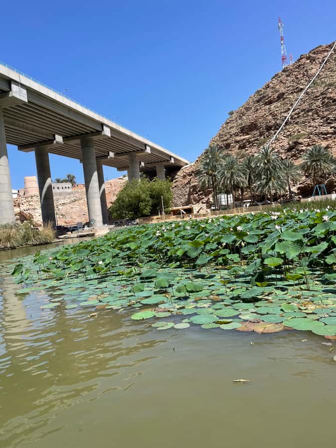 Muscat: Wadi Shab, Romantic Cave and Sinkhole Full-day Trip - Is $40 good value?