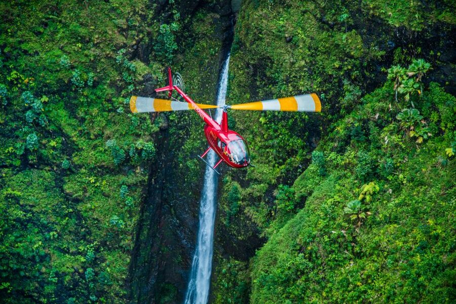 Oahu: Exclusive Private Romantic Flight - Dole and Pearl Harbor finish the route