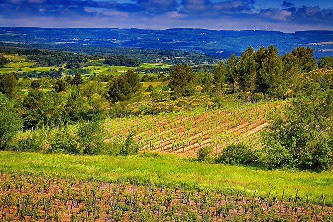 One Night Stay, Wine Tour, Wine and Dine for Two guests - Arriving at O’Vineyards near Carcassonne