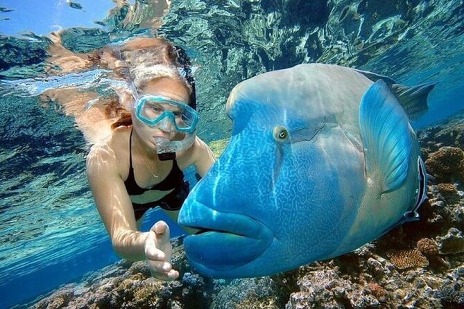 Orange Bay Island 2 Snorkeling Stops Water Sports Romantic Escape - How good is the $10 value?