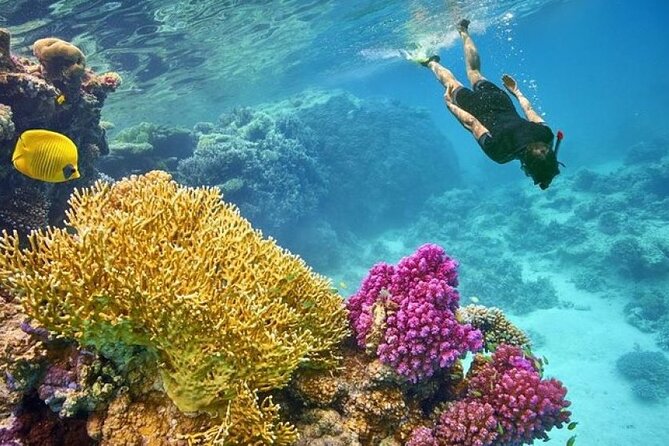 Orange Bay Island 2 Snorkeling Stops Water Sports Romantic Escape - The morning starts with pickup and a boat ride