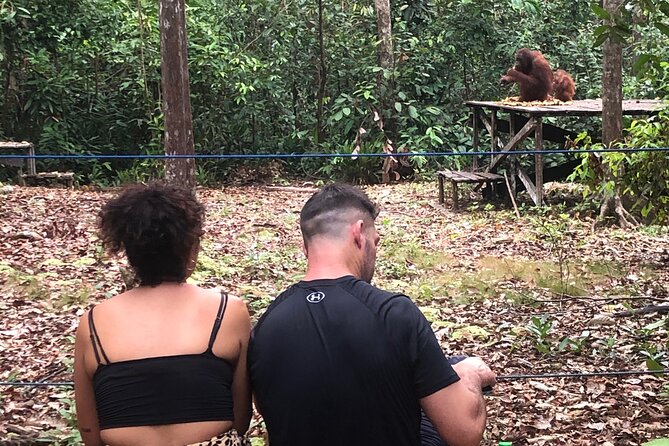 Orangutan Tanjung Puting Honeymoon CoupleTour - Pondok Tanggui and the first orangutan visit