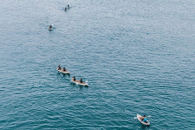 Original La Jolla Sea Cave Kayak Tour for Two - Approaching the Seven Sea Caves