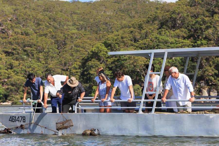 Oyster & Pearl Lovers Tour - Why a pearl farm makes a good Sydney day trip