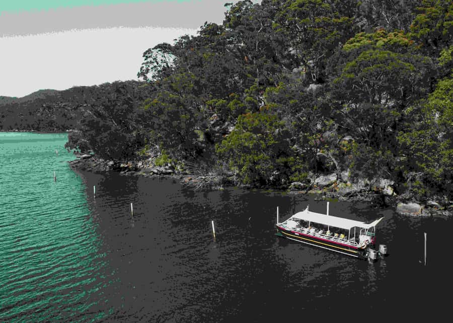Oyster & Pearl Lovers Tour - What makes Australian Akoya pearls special