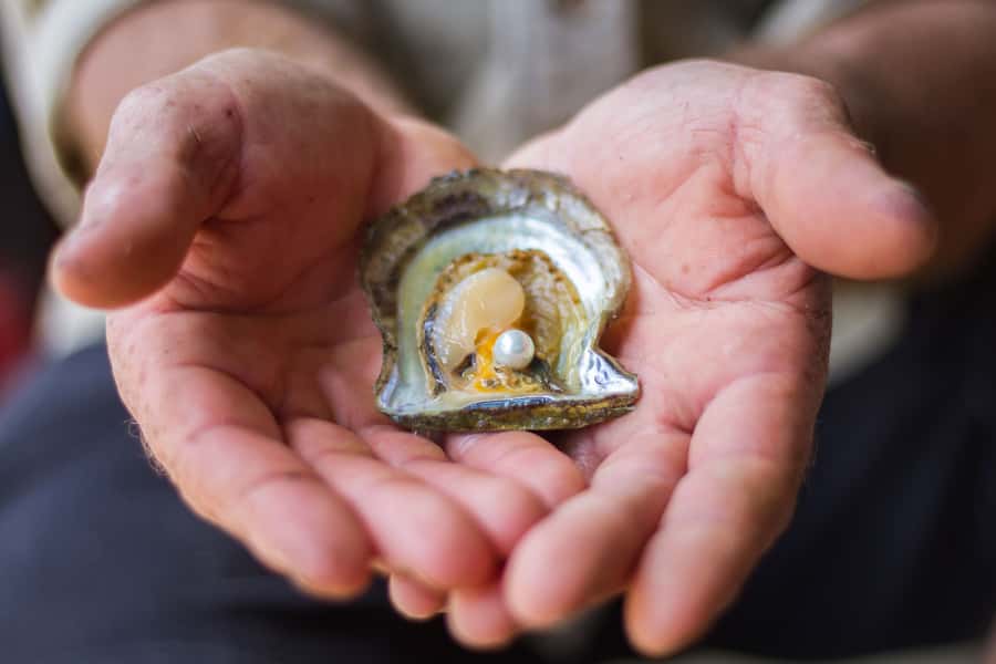 Oyster & Pearl Lovers Tour - Who will enjoy this experience most?