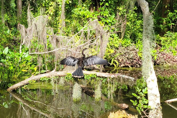 Paddle to Brunch Adventure on the Dora Canal - From Lake Dora into the Dora Canal