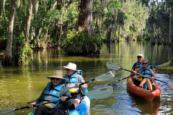 Paddle to Brunch Adventure on the Dora Canal - Should you book the Dora Canal brunch paddle?