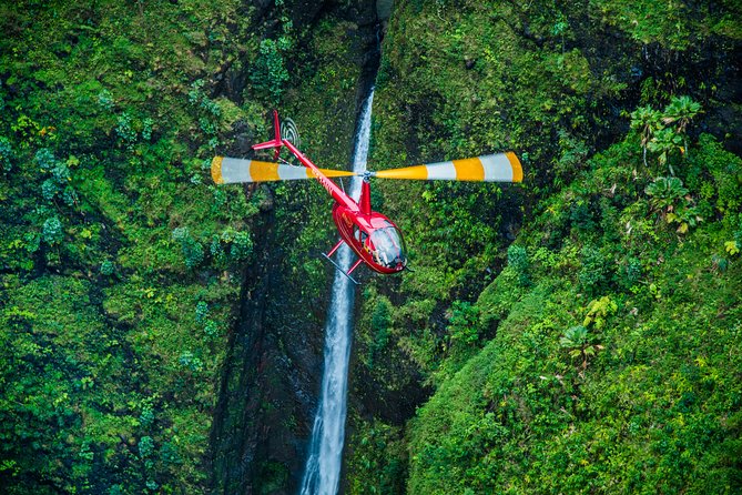 Private 45 Minute Helicopter Tour with Romantic Landing - Doors on or doors off