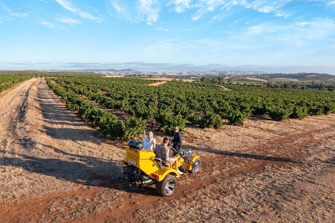 Private Barossa's Best Sightseeing Tour for Two - Mengler’s Hill gives you the big picture