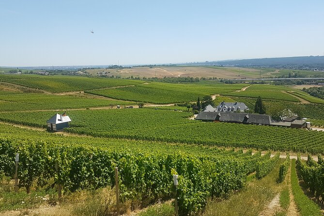 Private day trip to the Romantic Rhine Valley with river cruise and wine tasting - Rüdesheim brings lunch and river access