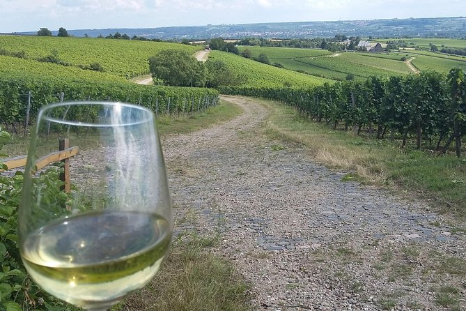 Private day trip to the Romantic Rhine Valley with river cruise and wine tasting - The two-hour cruise is the scenic heart