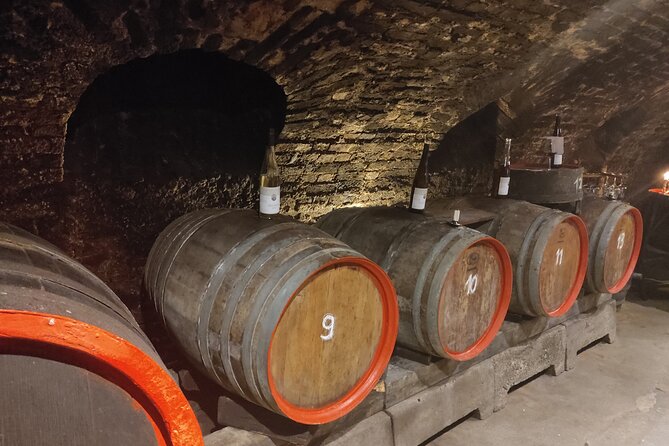 Private day trip to the Romantic Rhine Valley with river cruise and wine tasting - Rheinfels shows the Rhine’s military side