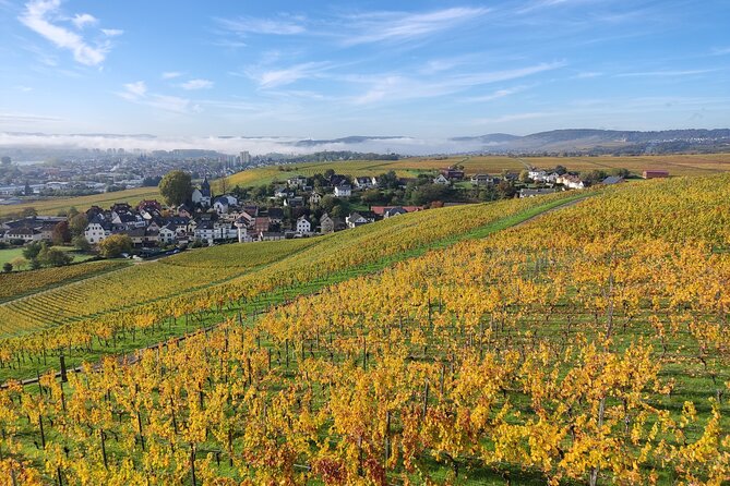 Private day trip to the Romantic Rhine Valley with river cruise and wine tasting - Eberbach Abbey sets the tone