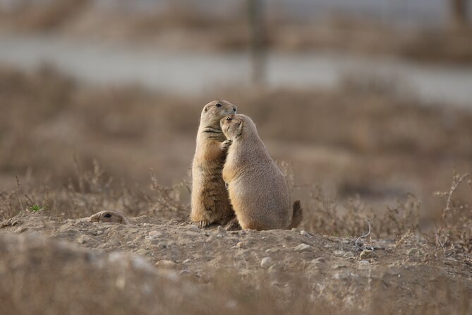 Private Nature Tour for Couples - Birdwatching with real tools and a broad target list