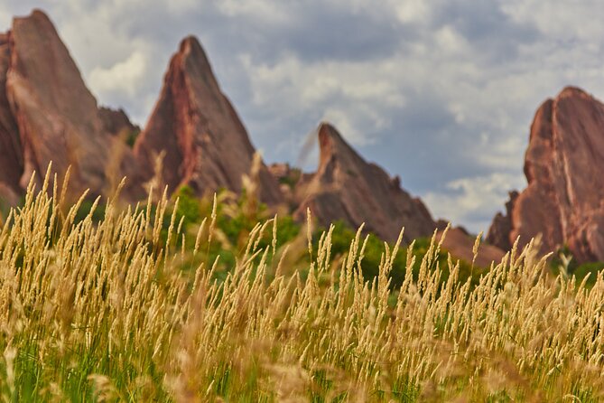 Private Nature Tour for Couples - The hike: from one to four miles at your pace