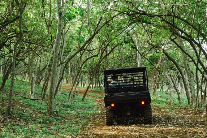 Private Off-Road Sunset Dinner - Is $257 per person good value?