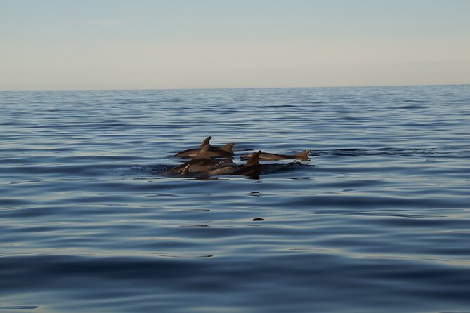 Pula Sunset Cruise: Brijuni Views, Drinks, Romance (Max 6 Guests) - The optional swim before sunset