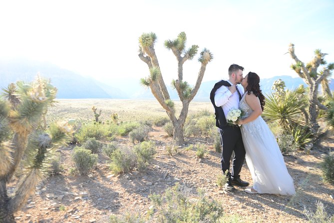 Red Rock Canyon Wedding by Private Limousine - What the Price Really Covers
