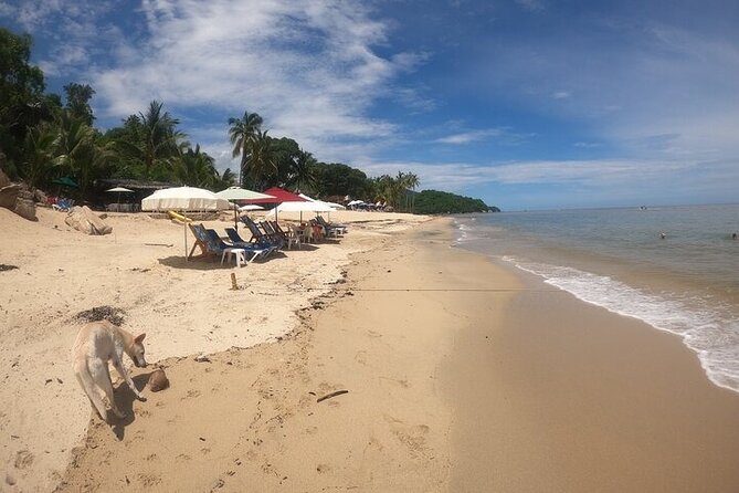 Rey Spearo - Enchanting And Romantic Custom Created Tours - The value of an all-inclusive private day