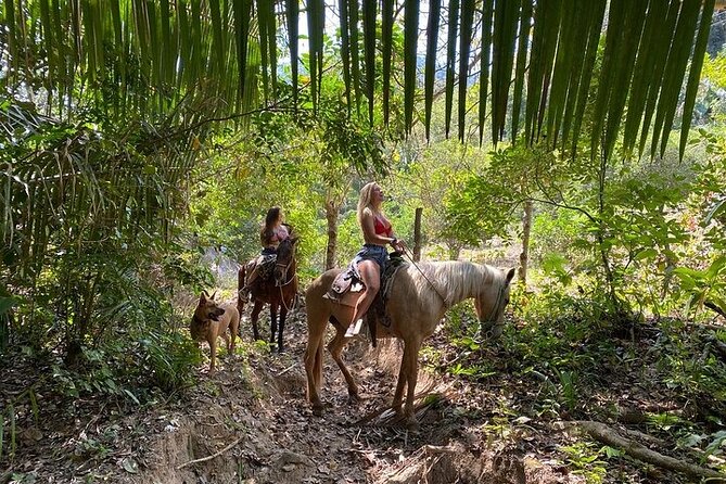 Rey Spearo - Enchanting And Romantic Custom Created Tours - Meeting the horses and getting comfortable