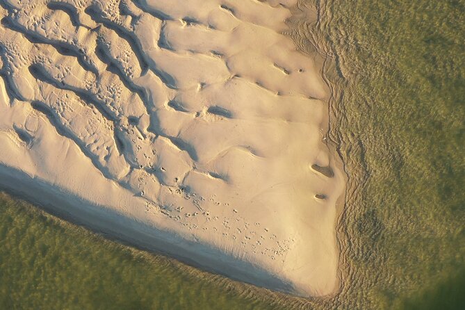 Ria Formosa & Ilhas: Private Tour for Two or in Group - Faro, Olhão, and the route around them