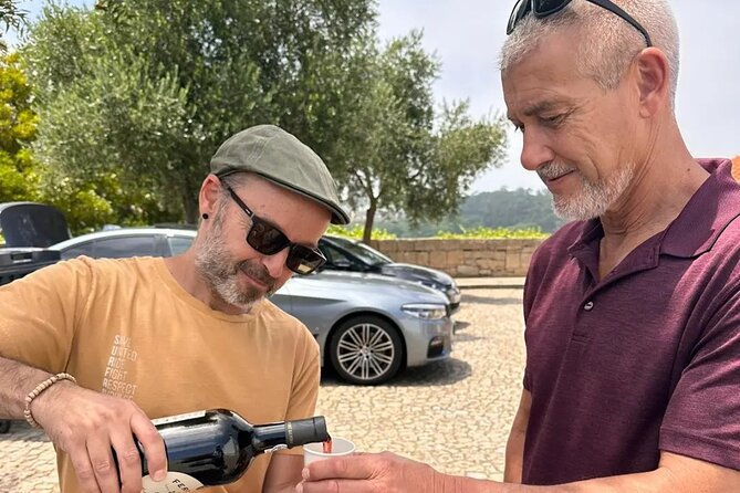 Ride through romantic Foz in an eco-friendly car - From Porto Cathedral down to the Douro