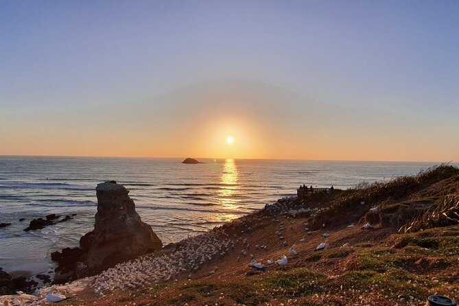 Romantic Auckland Sunset tour with Winery & Thermal pool - Key points to know before you book