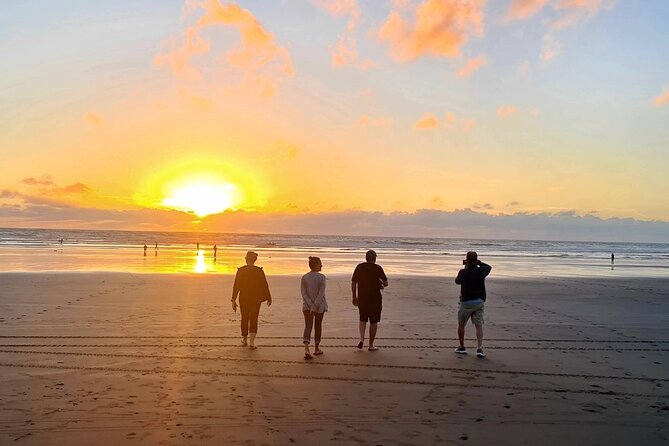 Romantic Auckland Sunset tour with Winery & Thermal pool - Sean’s hosting adds flexibility to the evening