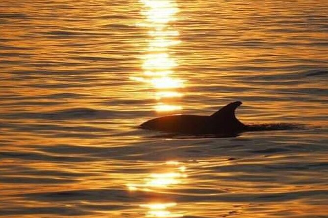 Romantic Boat Trip with Dolphin Watching - Who will enjoy this two-hour outing