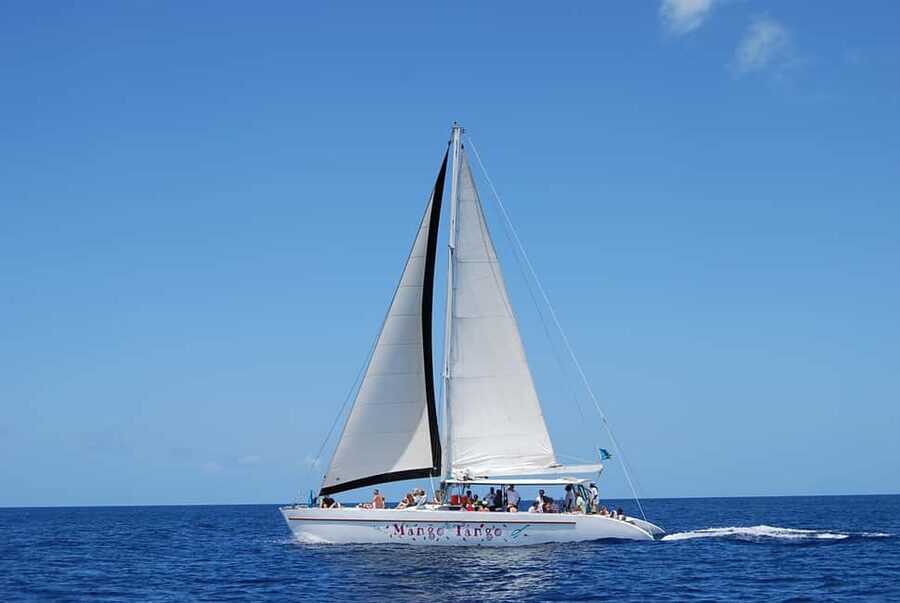 Romantic Caribbean Sunset Cruise - The sunset, the green flash, and the best views