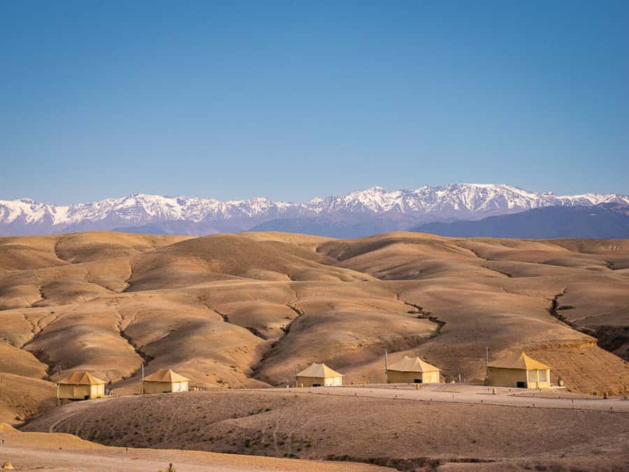Romantic Dinner & Camel Ride In Agafay Desert - From Marrakech to the rocky hills of Agafay