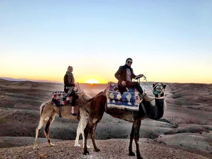 Romantic Dinner & Camel Ride In Agafay Desert - Mint tea, campfire, and Moroccan dinner