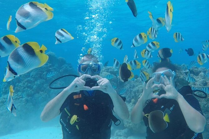 Romantic Dive for beginners in Bora Bora (2 people) with Video - Key details at a glance