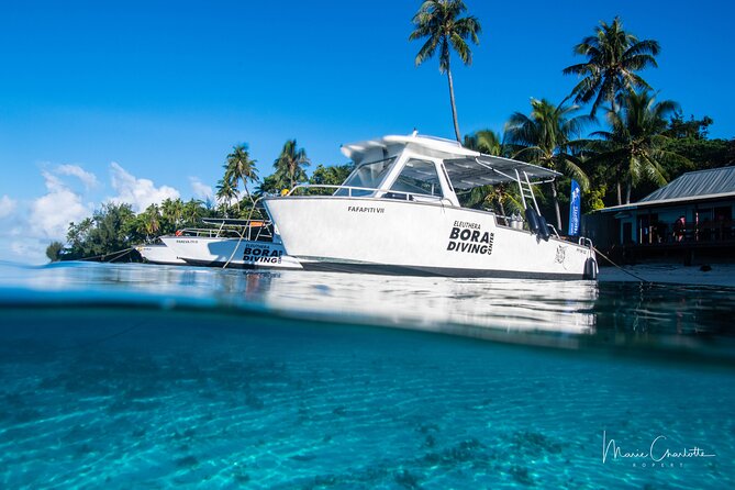 Romantic Dive for beginners in Bora Bora (2 people) with Video - Meeting tropical fish in Bora Bora’s water