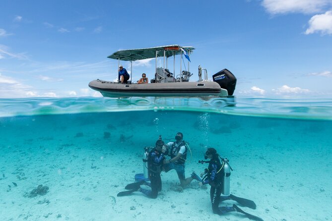 Romantic dive in the lagoon of Bora Bora. Private instructor on a shared boat - What happens from the 2 p.m. departure