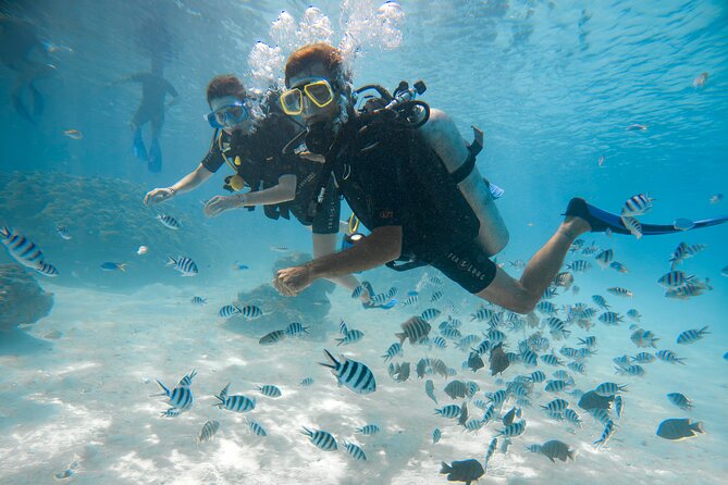Romantic dive in the lagoon of Bora Bora. Private instructor on a shared boat - How to decide if it is right for you