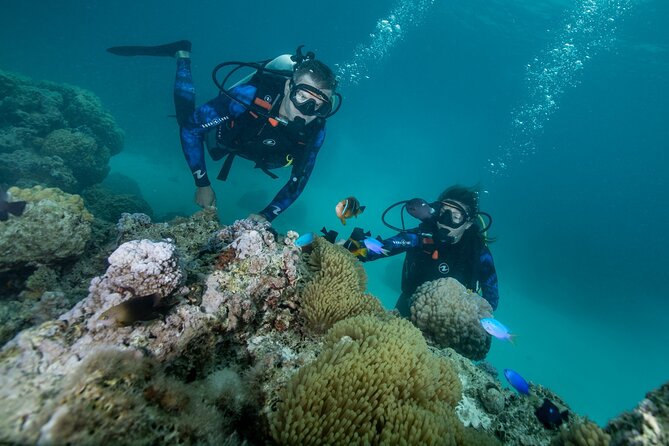 Romantic dive in the lagoon of Bora Bora. Private instructor on a shared boat - Why the private instructor matters