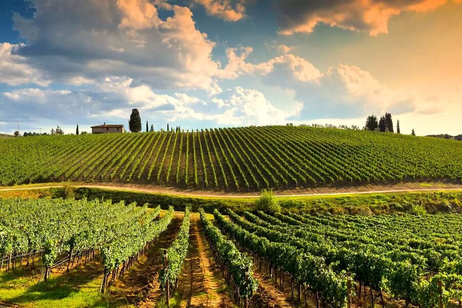 Romantic Escape in Tuscany with Overnight and Wine Tasting - A small-group tasting at Tenuta Torciano
