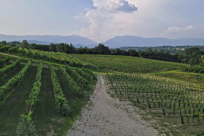 Romantic Evening Tasting with the Best Prosecco - Why the evening timing works