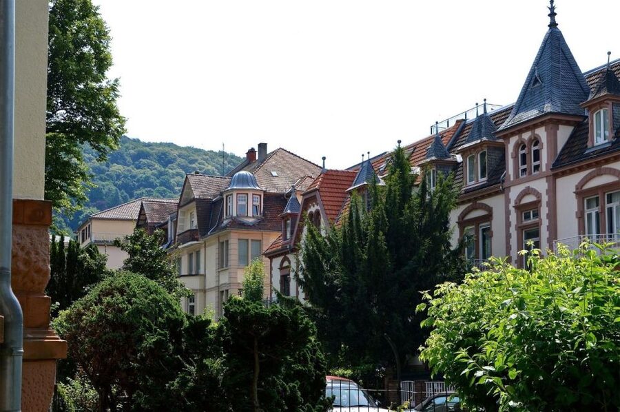 Romantic Heidelberg: Private Tour With Professional Guide - Starting at the Tourist Information Office