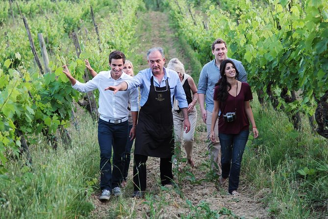 Romantic Lunch in the Vine Rows in Tuscany - A Tuscan lunch with the vines as your backdrop
