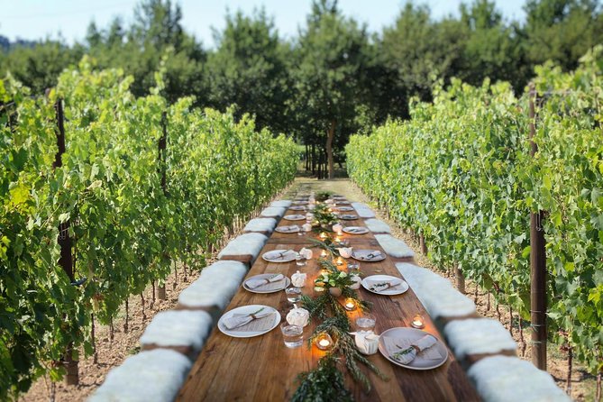 Romantic Lunch in the Vine Rows in Tuscany - Why the setting works for a romantic occasion