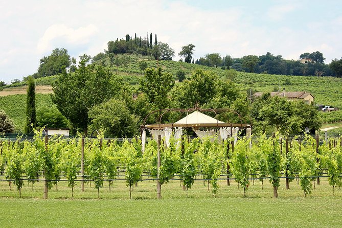 Romantic Lunch in the Vine Rows in Tuscany - Getting there and fitting it into your day