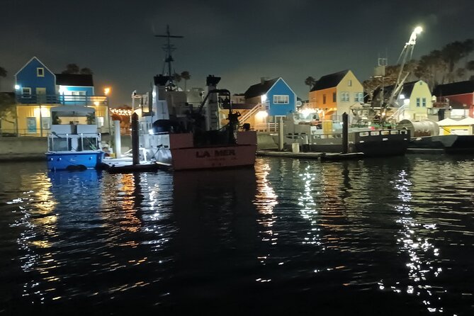 Romantic Luxury Boat Cruise with Wine Cheese Sea LionTours - Sea lions, wildlife, and sunset light